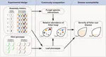 Host Genotype and Colonist Arrival Order Jointly Govern Plant Microbiome Composition and Function