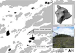 Forest area and connectivity influence root-associated fungal communities in a fragmented landscape